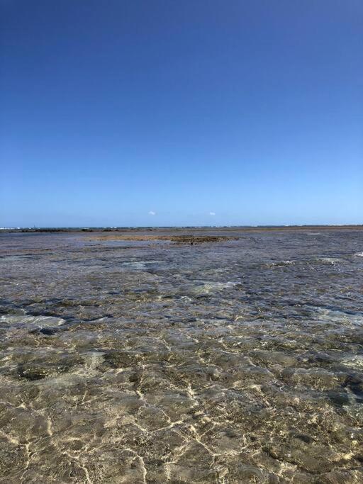 Recanto Dos Coqueirais São Miguel dos Milagres エクステリア 写真