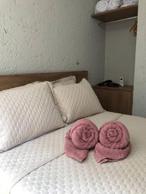 Recanto Dos Coqueirais São Miguel dos Milagres エクステリア 写真